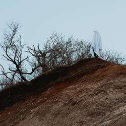 Between You and the Purple Wallpaper