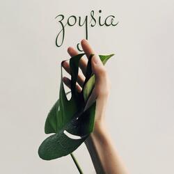 Zoysia