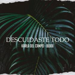 Descuidaste Todo