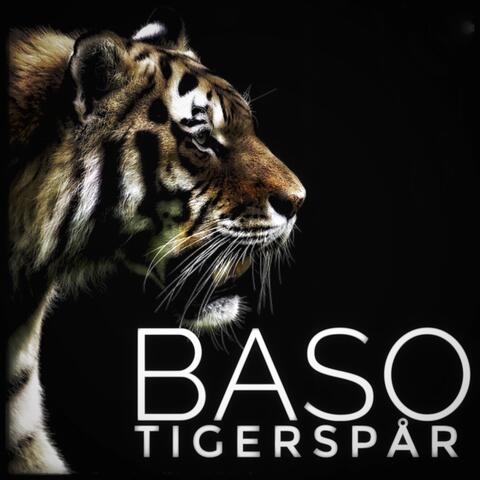 Tigerspår