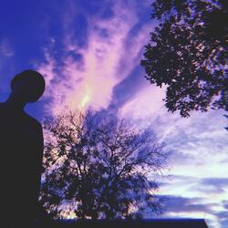 The Art Of Losing Feelings