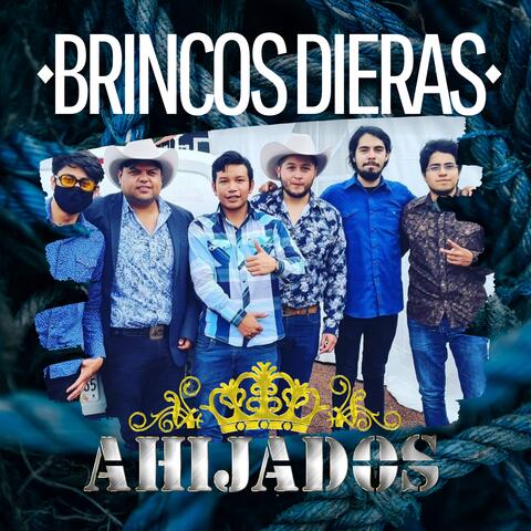 Brincos Dieras