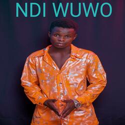NDI WUWO
