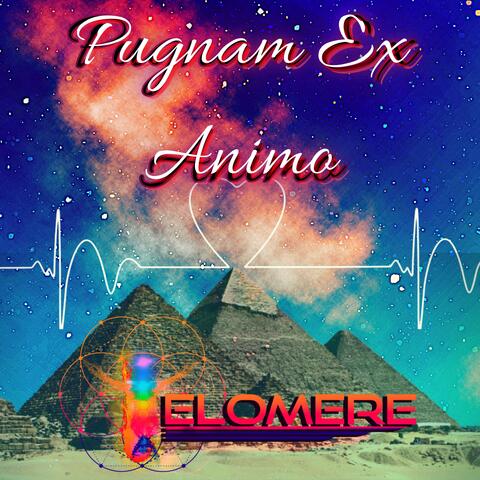 Pugnam Ex Animo