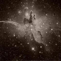 Orion