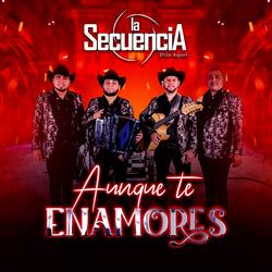 El Contacto