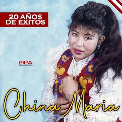 Cariño Sin Igual (20 Años de Éxitos)