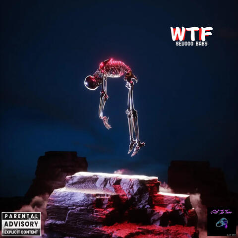 WTF(Chapter 18 Freestyle)
