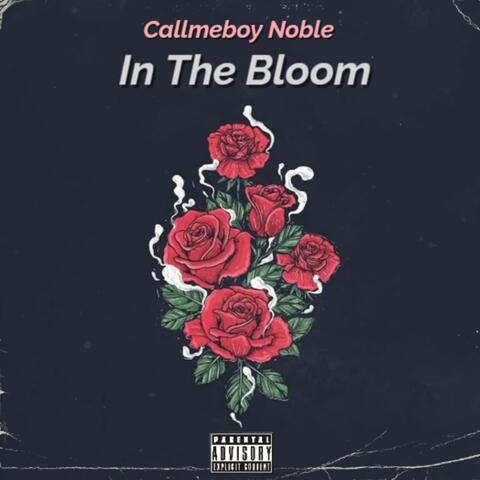 In The Bloom