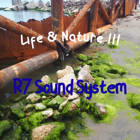 Life & Nature III