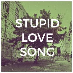 Stupid Love Song