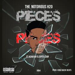 PIECES