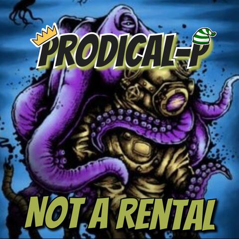 Not A Rental