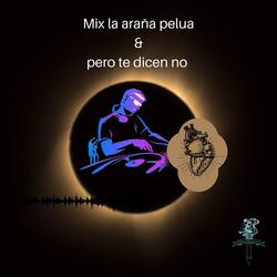 Mix La Araña Pelua & Pero Te Dicen No