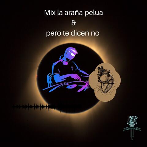 La Araña Pelua & Pero Te Dicen No (Mix)
