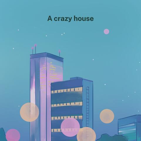 A crazy house