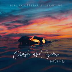 Crash and Burn (Need Nobody)