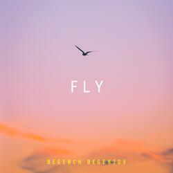 Fly