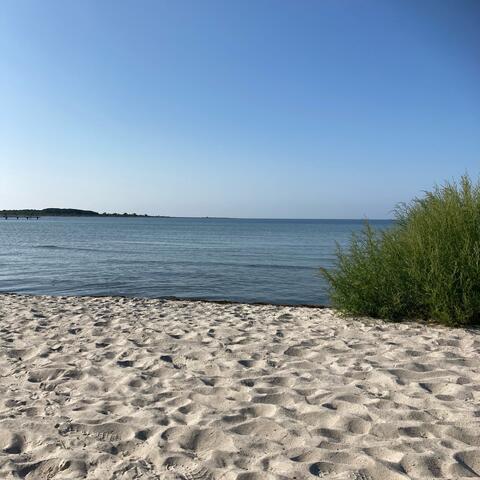 Den Försvunna