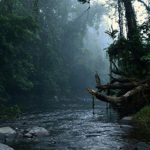 Calm River Sounds, Vol. III