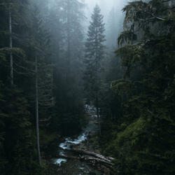 Calm River Sound, Pt. 21