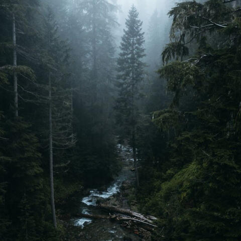 Calm River Sounds, Vol. II