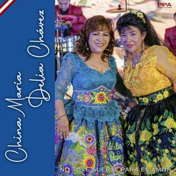 No Tuve Suerte para el Amor