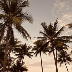 Weaving my Wandering Ways
