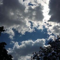cielo