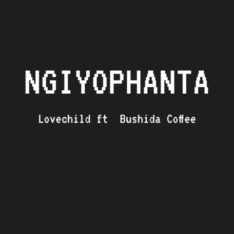 NGIYOPHANTA