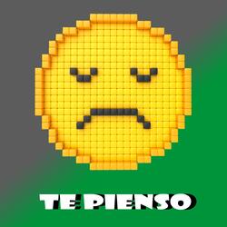TE PIENSO