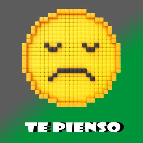 TE PIENSO