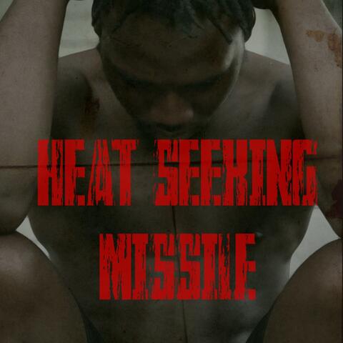 Heat Seeking Missile