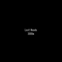 Lost Woods