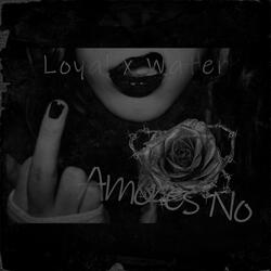 Amores No