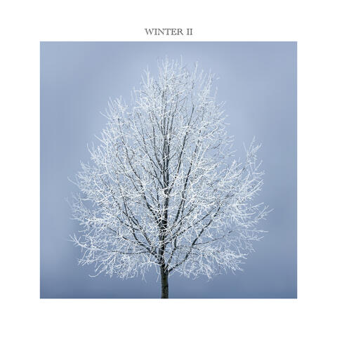 Winter II