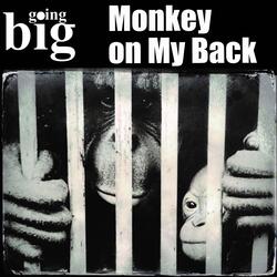 Monkey on My Back