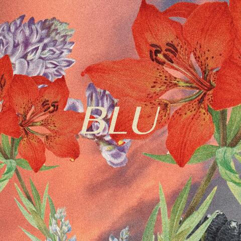 BLU