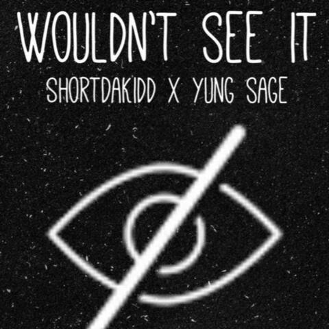 Wouldnt see it