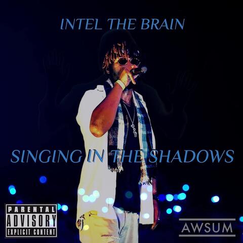 Singing In The Shadows