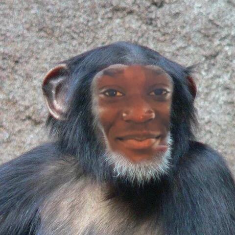 mig bamboula