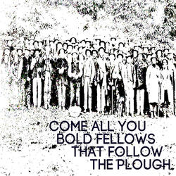 Come all you bold fellows that follow the plough