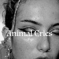 I'm In Love With A Cowgirl