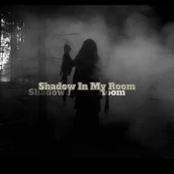 Shadow In My Room