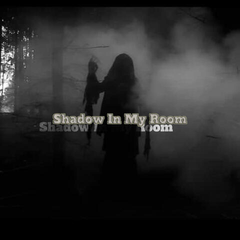Shadow In My Room