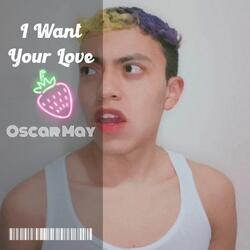 I Want Your Love