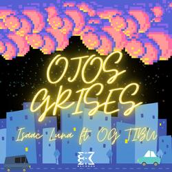 OJOS GRISES