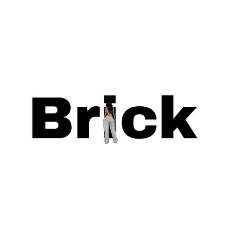 BRICK