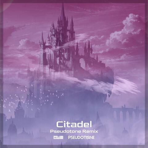 Citadel