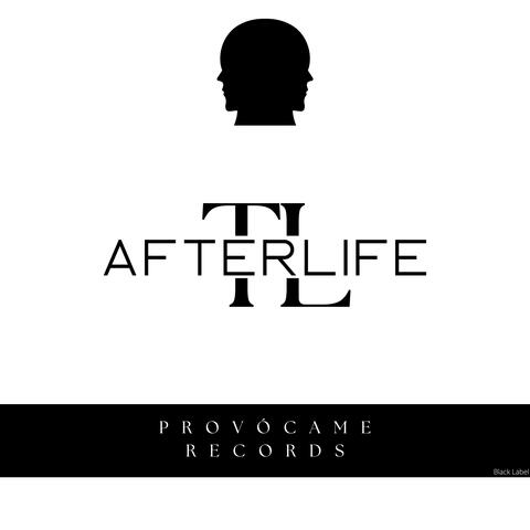 Afterlife